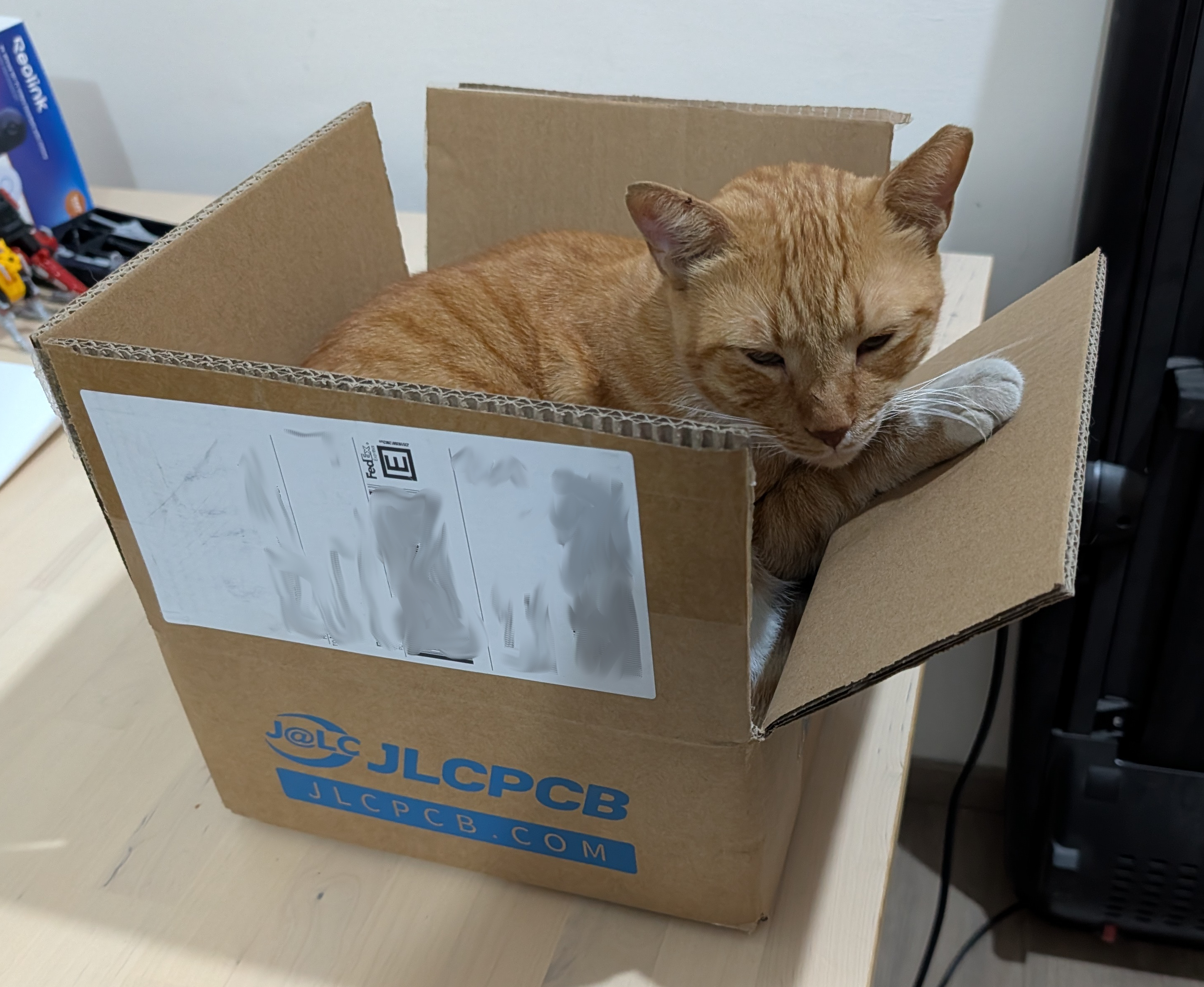 A cat sleeping inside the JLCPCB shipping box